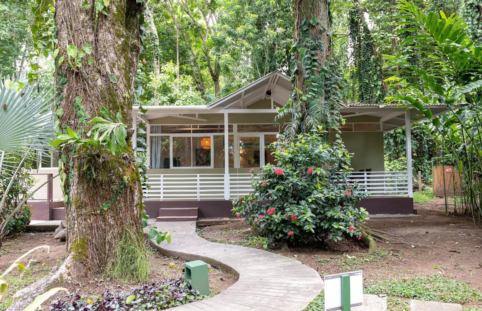 Jaguar Inn Bungalows Puerto Viejo de Talamanca Zewnętrze zdjęcie