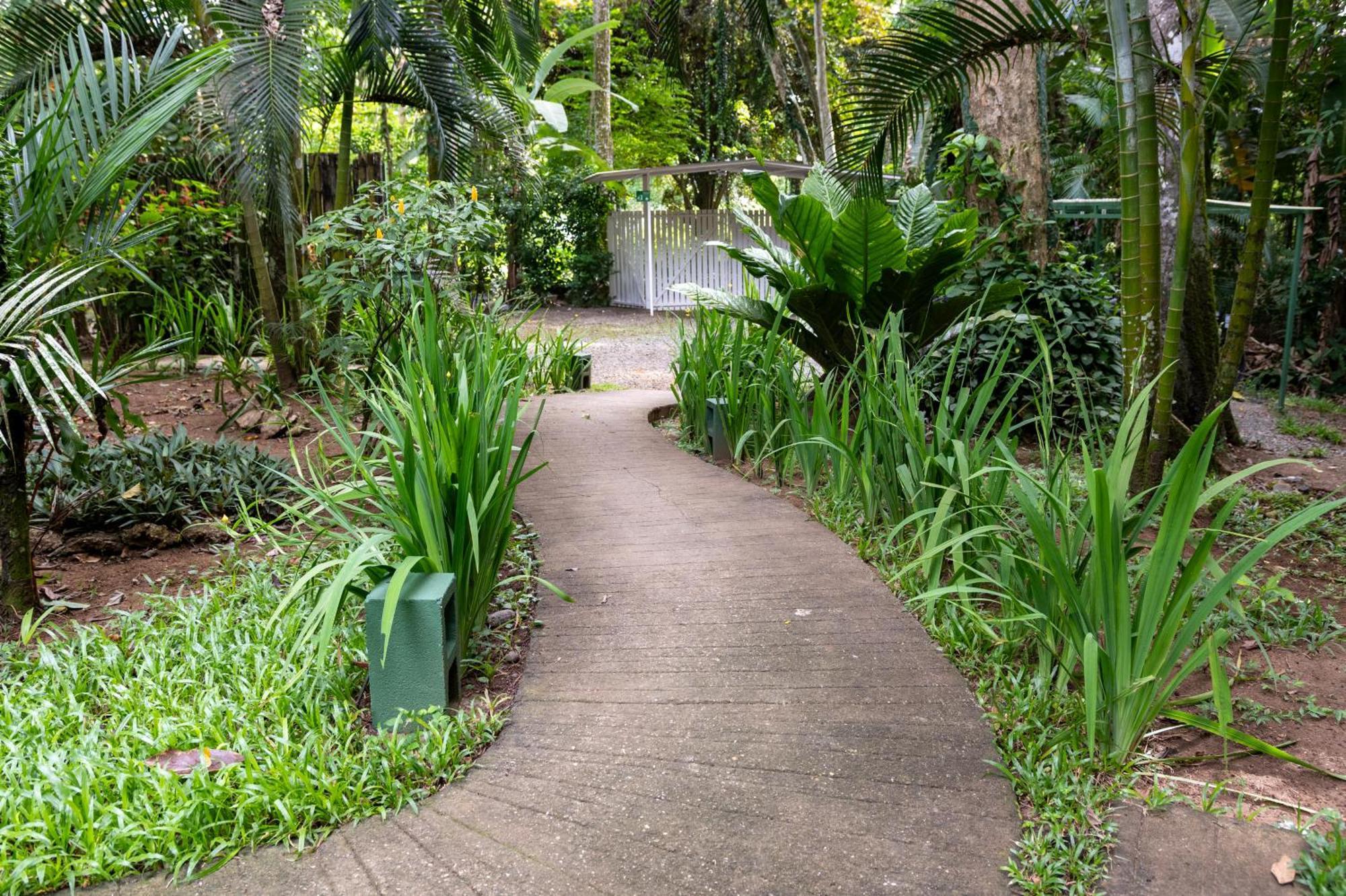 Jaguar Inn Bungalows Puerto Viejo de Talamanca Zewnętrze zdjęcie