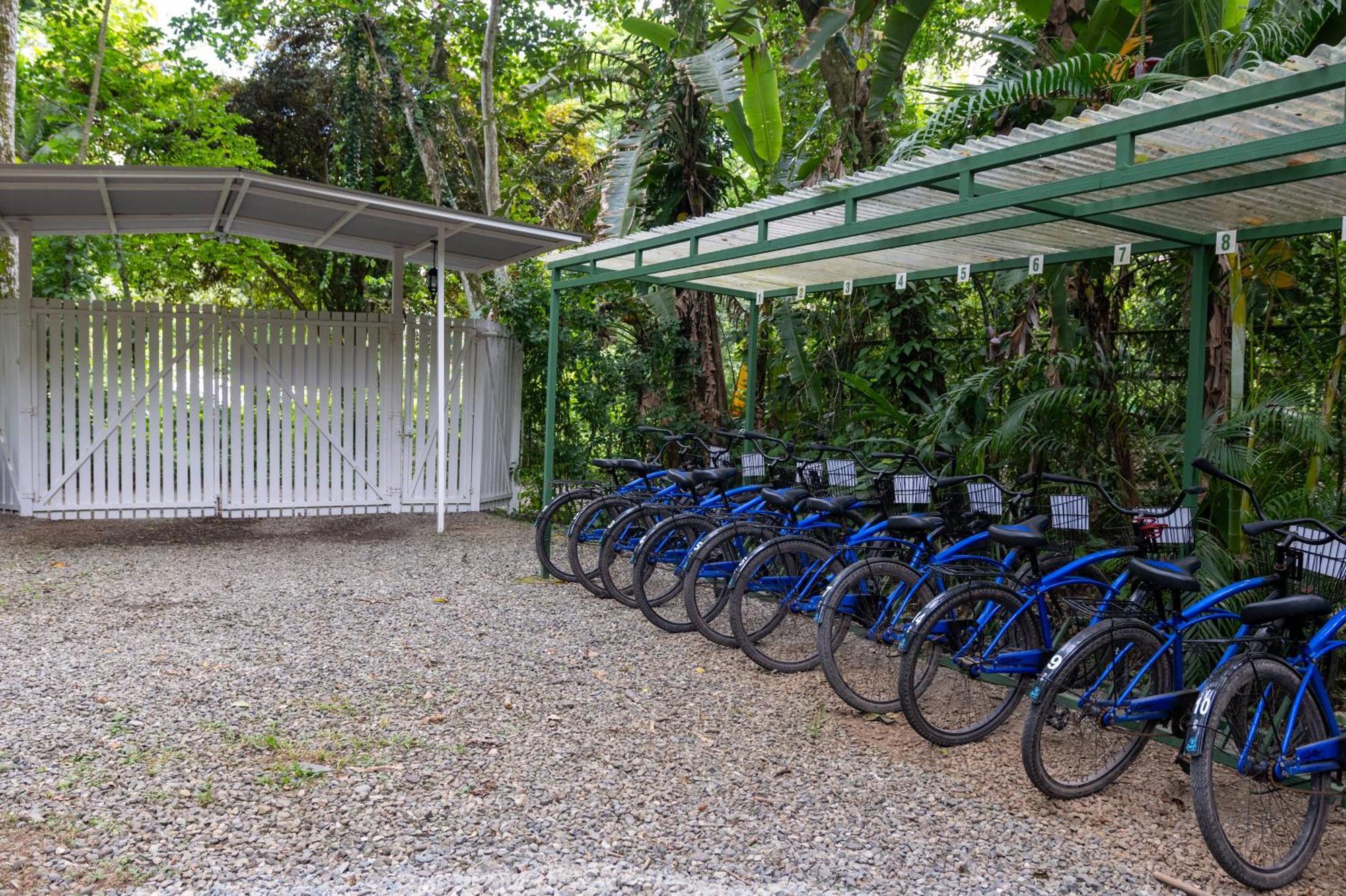 Jaguar Inn Bungalows Puerto Viejo de Talamanca Zewnętrze zdjęcie