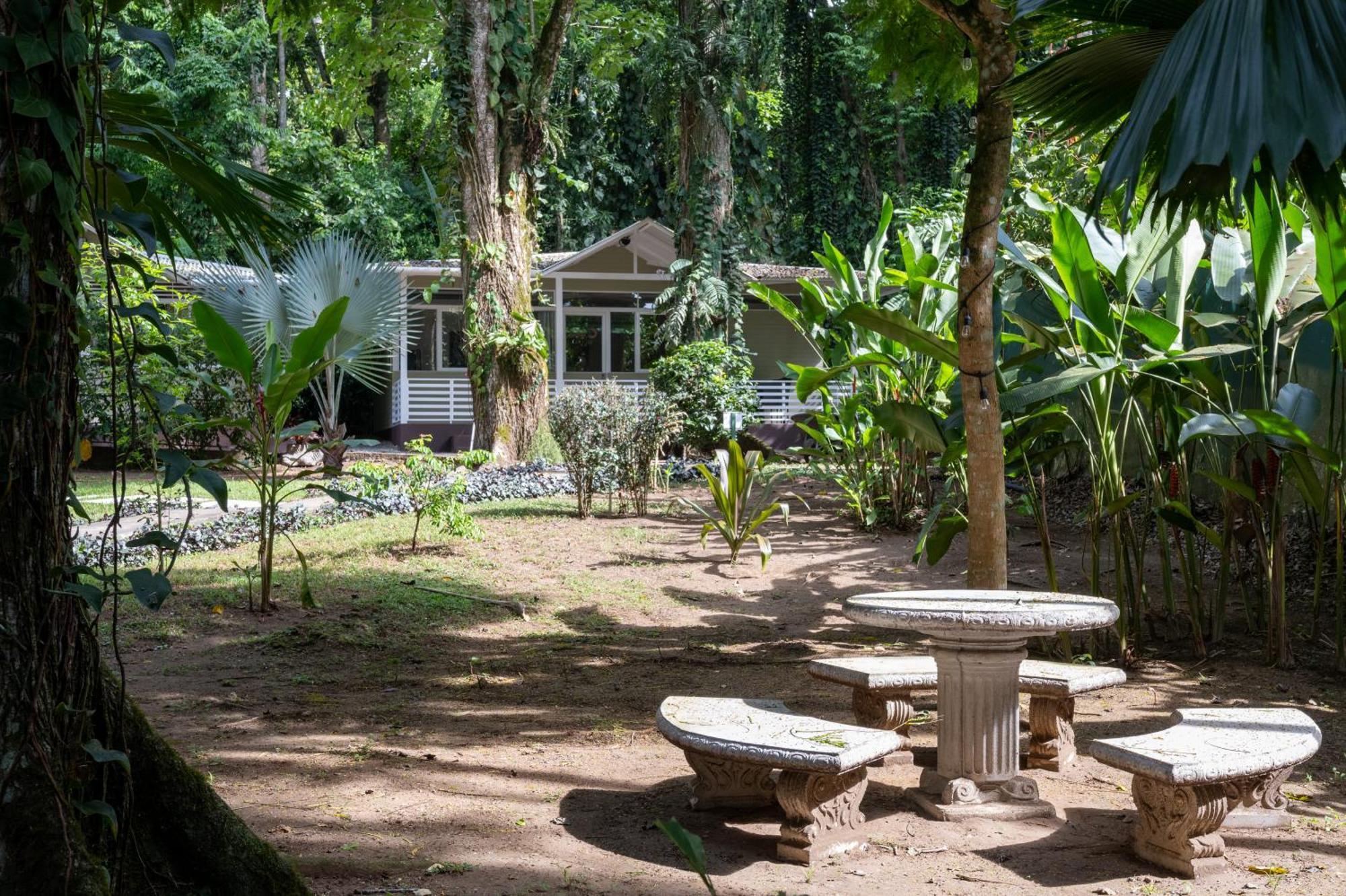 Jaguar Inn Bungalows Puerto Viejo de Talamanca Zewnętrze zdjęcie