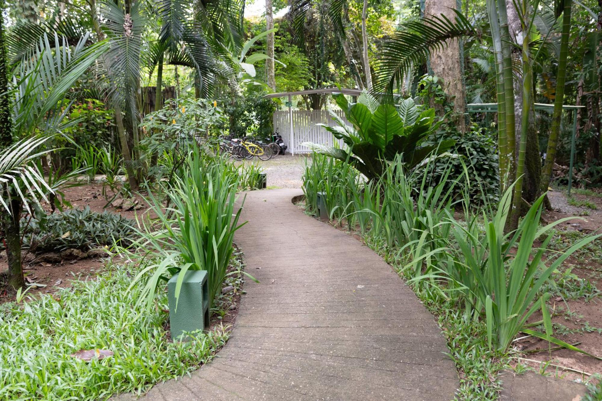 Jaguar Inn Bungalows Puerto Viejo de Talamanca Zewnętrze zdjęcie