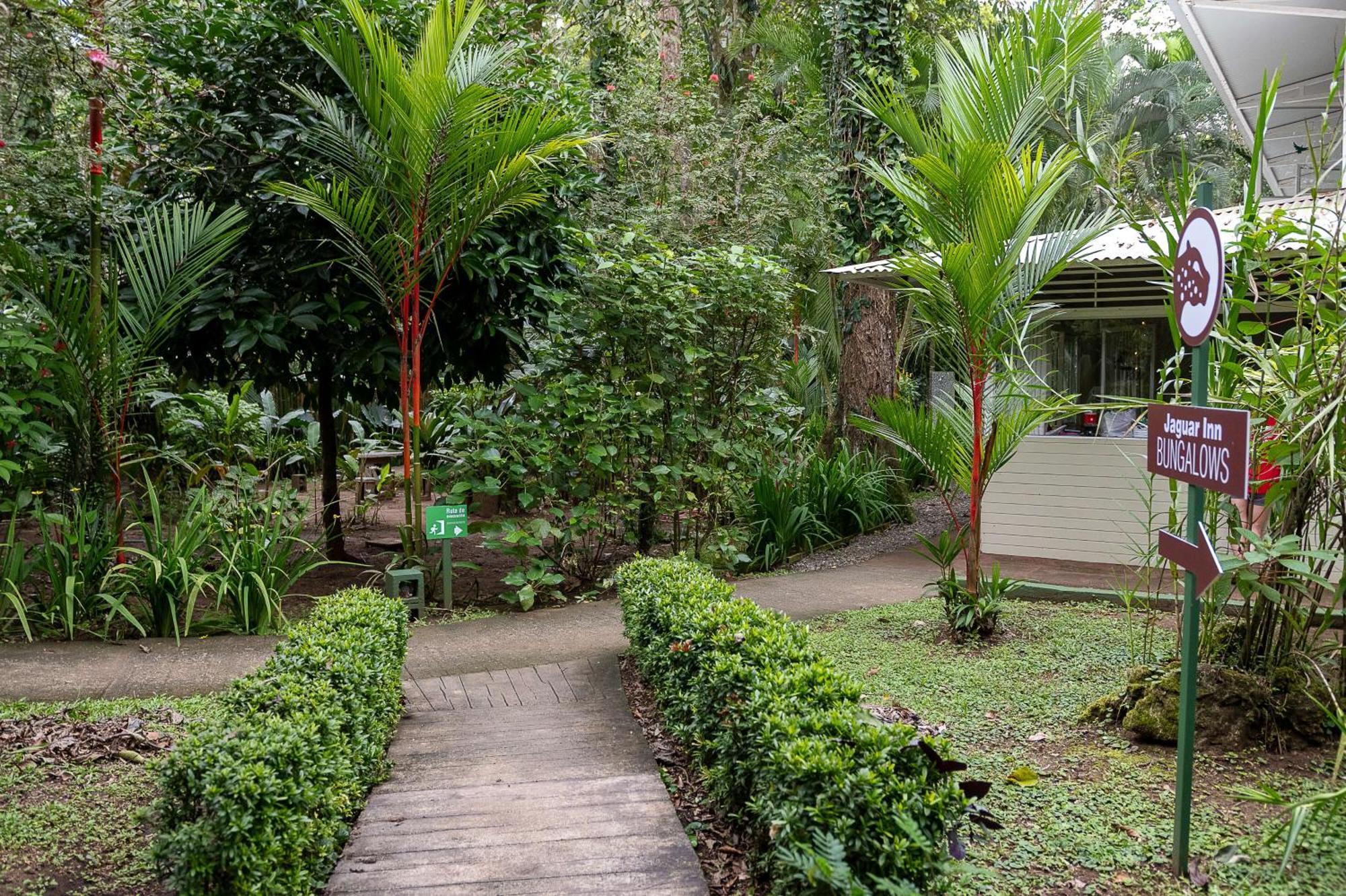 Jaguar Inn Bungalows Puerto Viejo de Talamanca Zewnętrze zdjęcie