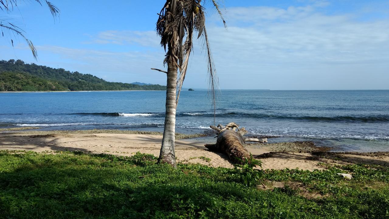 Jaguar Inn Bungalows Puerto Viejo de Talamanca Zewnętrze zdjęcie